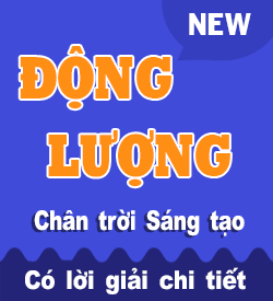 Động lượng (CTST)